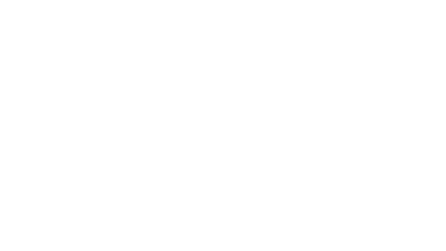 极速骆马/Speedollama