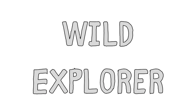 荒野追迹/Wild Explorer