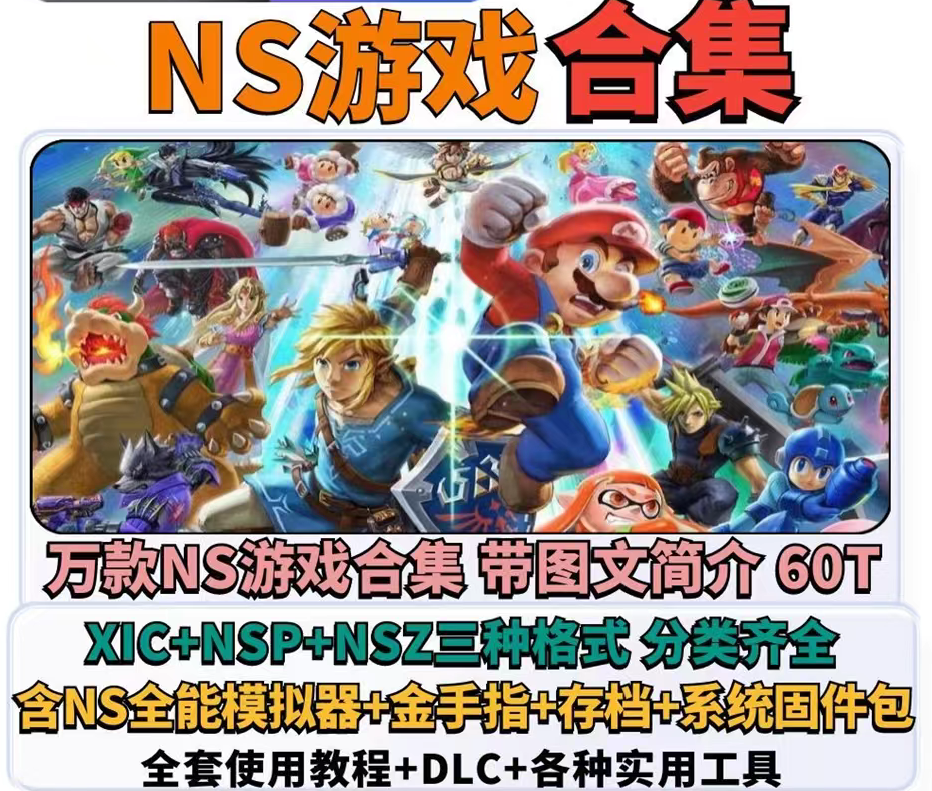 进群下载Switch游戏