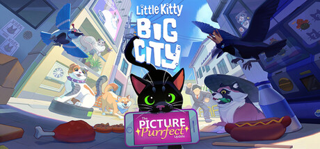 小猫咪，大世界 Little Kitty, Big City