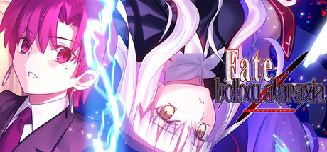 Fate/虚空明镜重制版